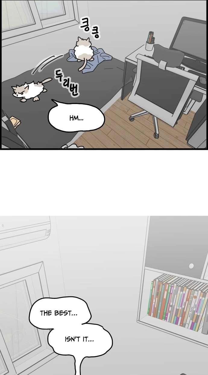 First-Job Cat Chapter 10 page 21 - 