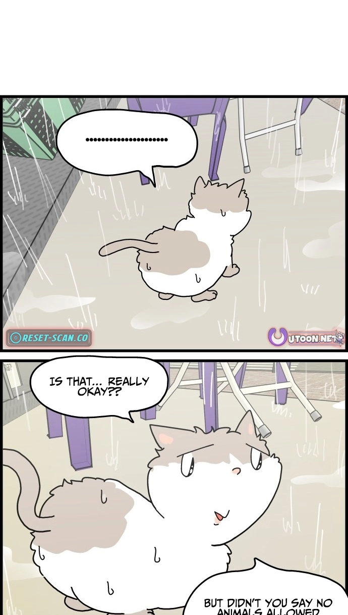 First-Job Cat Chapter 10 page 6 - 