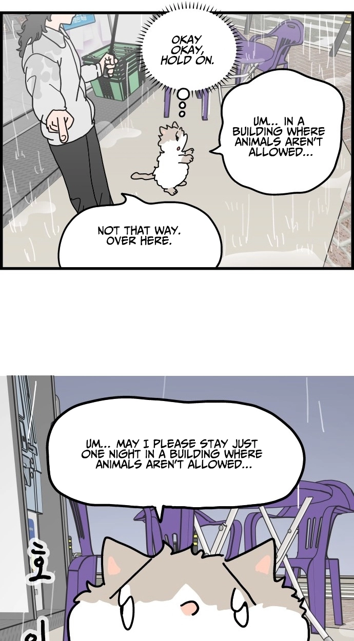 First-Job Cat Chapter 10 page 9 - 