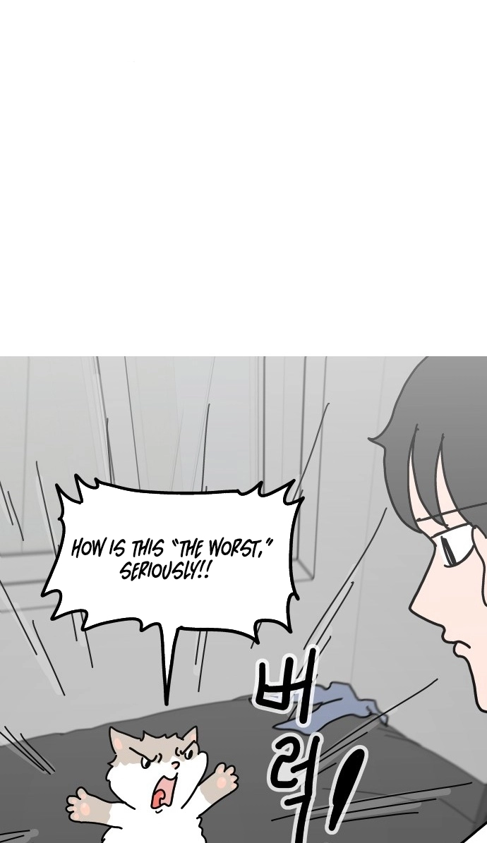First-Job Cat Chapter 11 page 1 - 