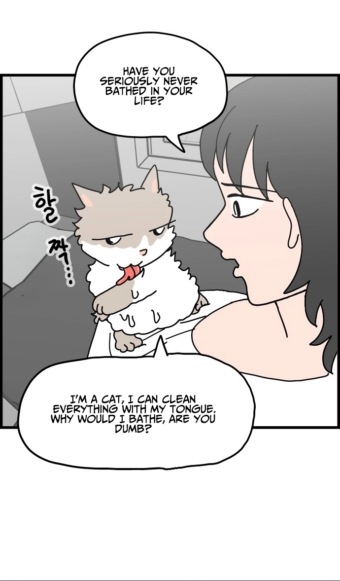 First-Job Cat Chapter 11 page 12 - 