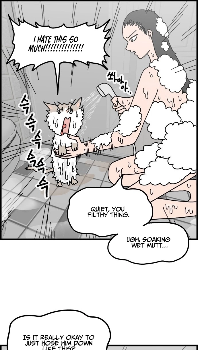 First-Job Cat Chapter 11 page 13 - 