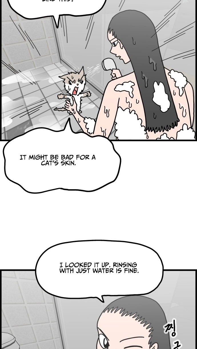 First-Job Cat Chapter 11 page 14 - 