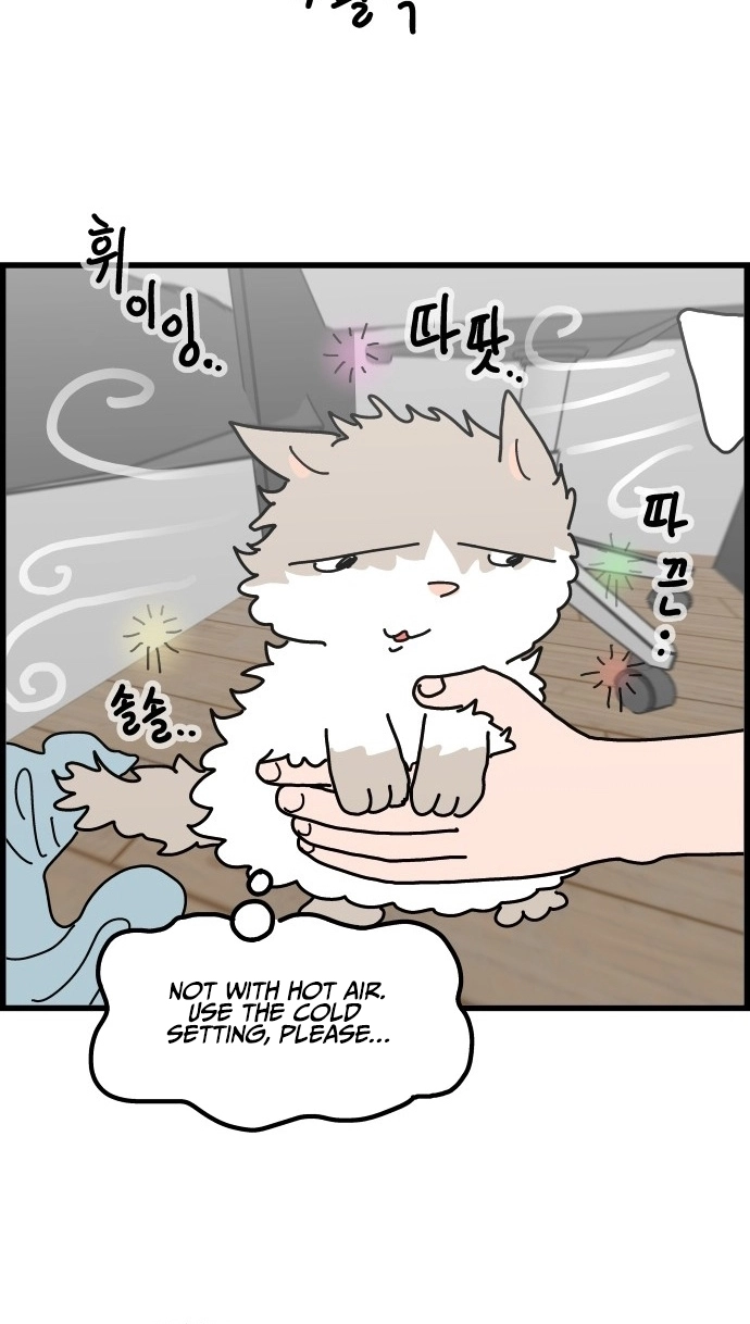 First-Job Cat Chapter 11 page 16 - 