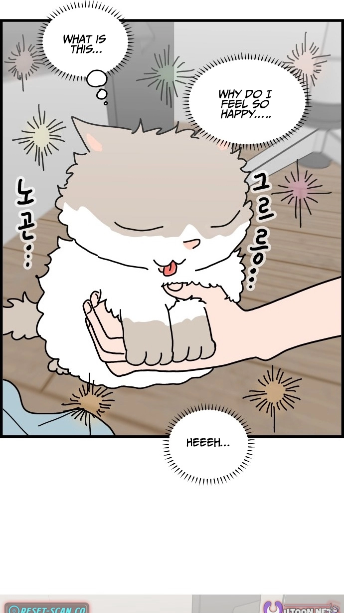First-Job Cat Chapter 11 page 17 - 