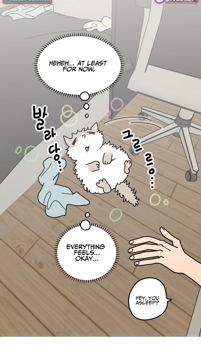 First-Job Cat Chapter 11 page 18 - 
