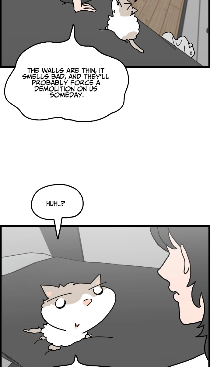 First-Job Cat Chapter 11 page 6 - 