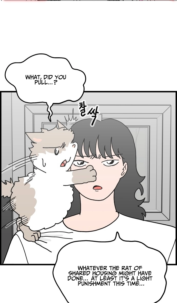 First-Job Cat Chapter 11 page 10 - 