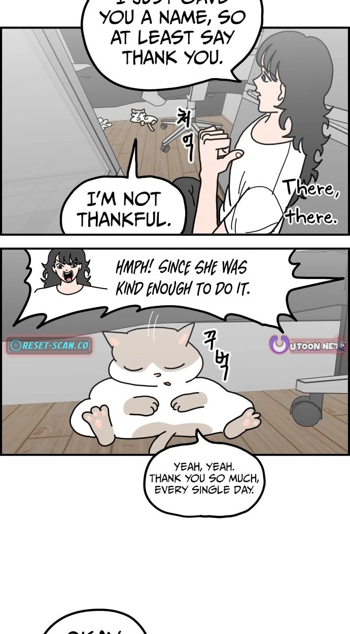 First-Job Cat Chapter 12 page 5 - 