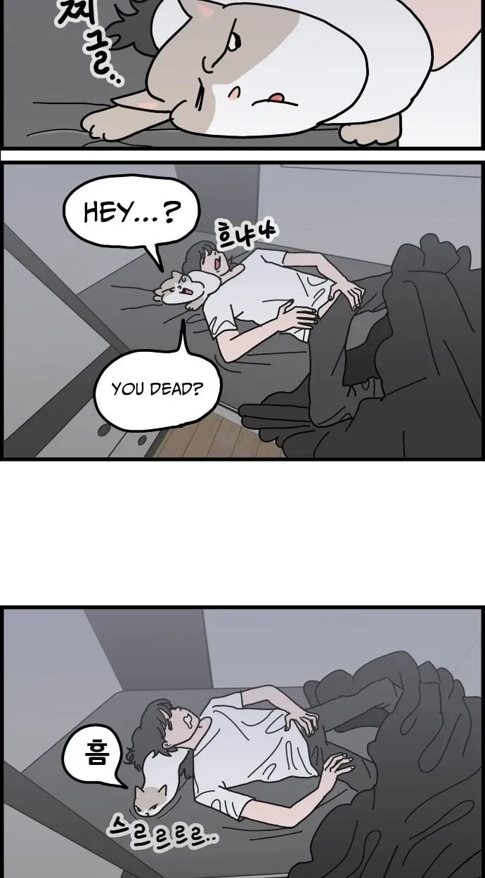 First-Job Cat Chapter 13 page 11 - 