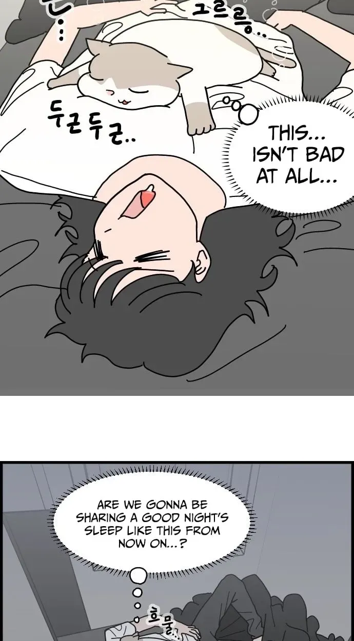 First-Job Cat Chapter 13 page 13 - 