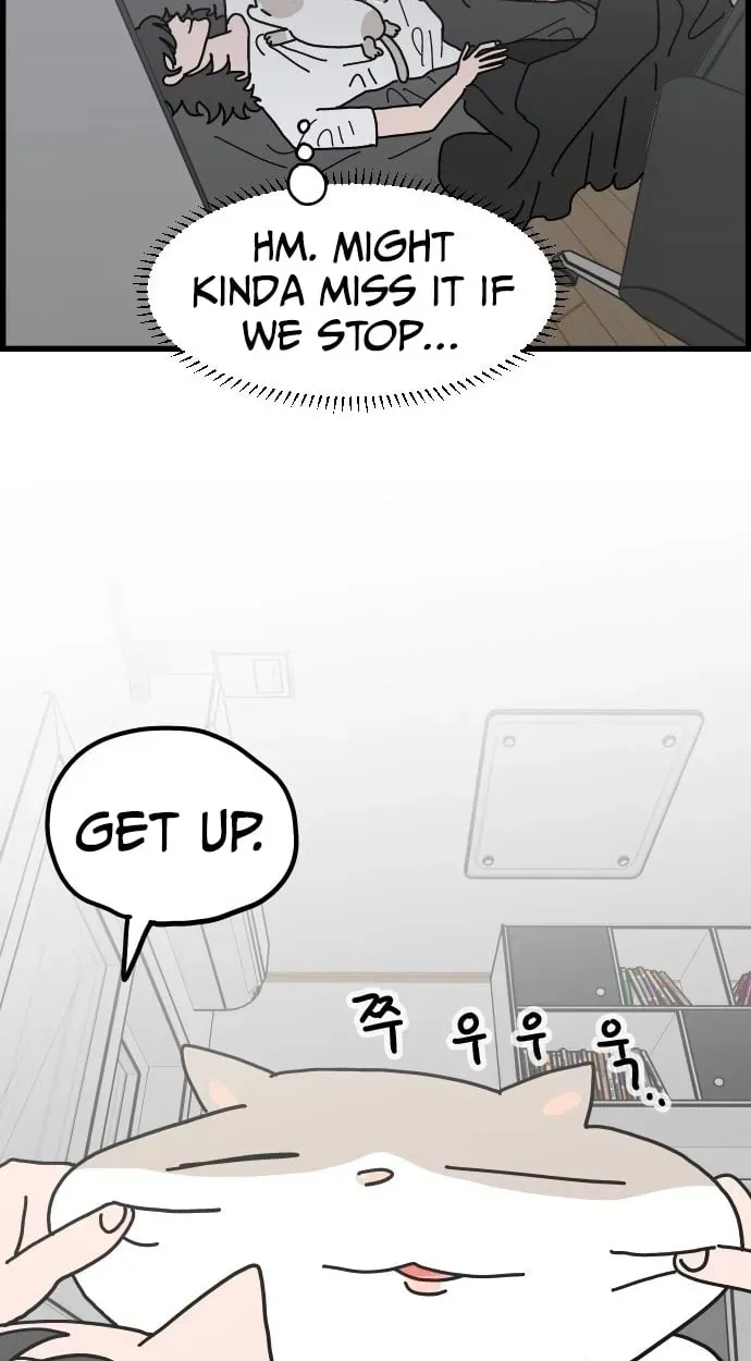 First-Job Cat Chapter 13 page 14 - 