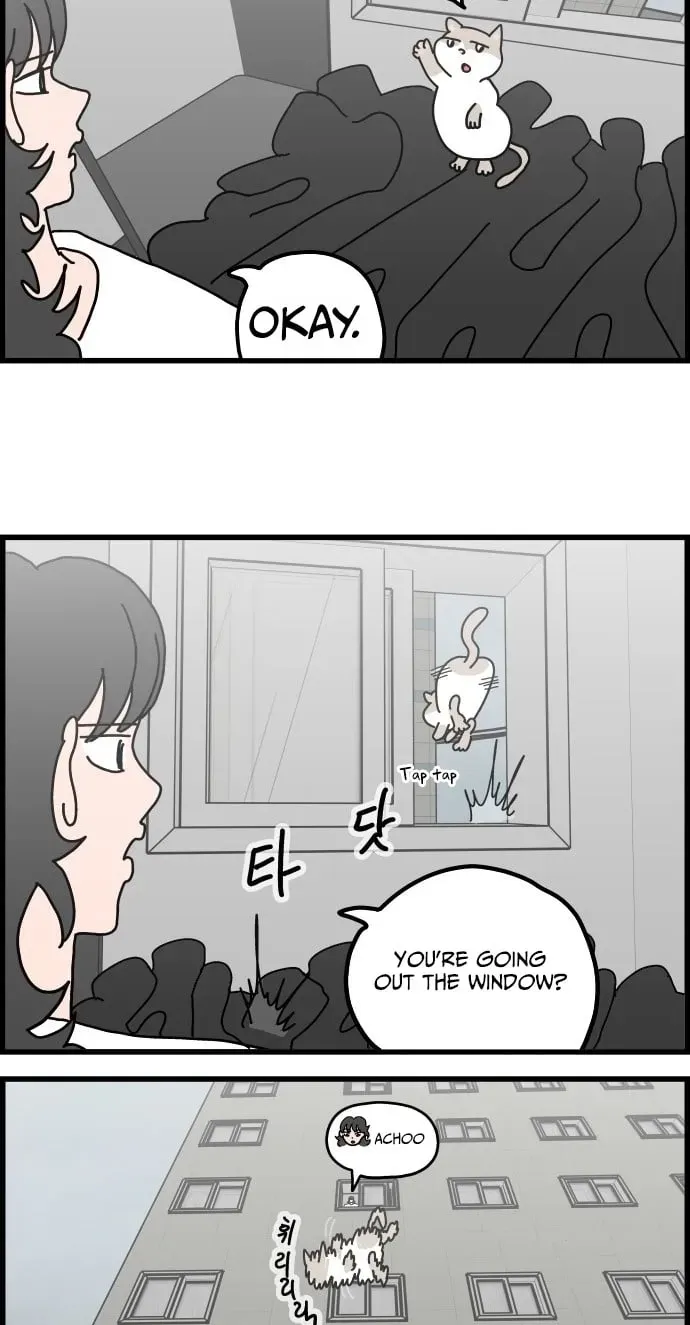 First-Job Cat Chapter 13 page 17 - 