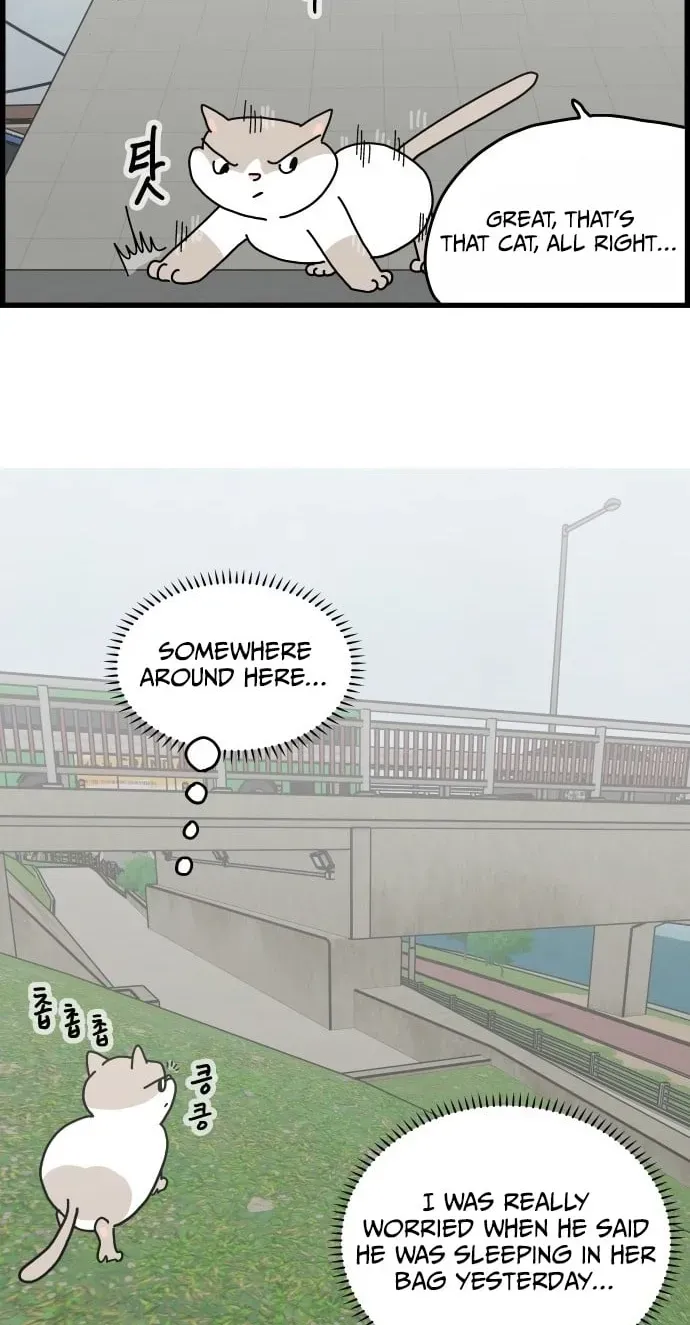 First-Job Cat Chapter 13 page 18 - 