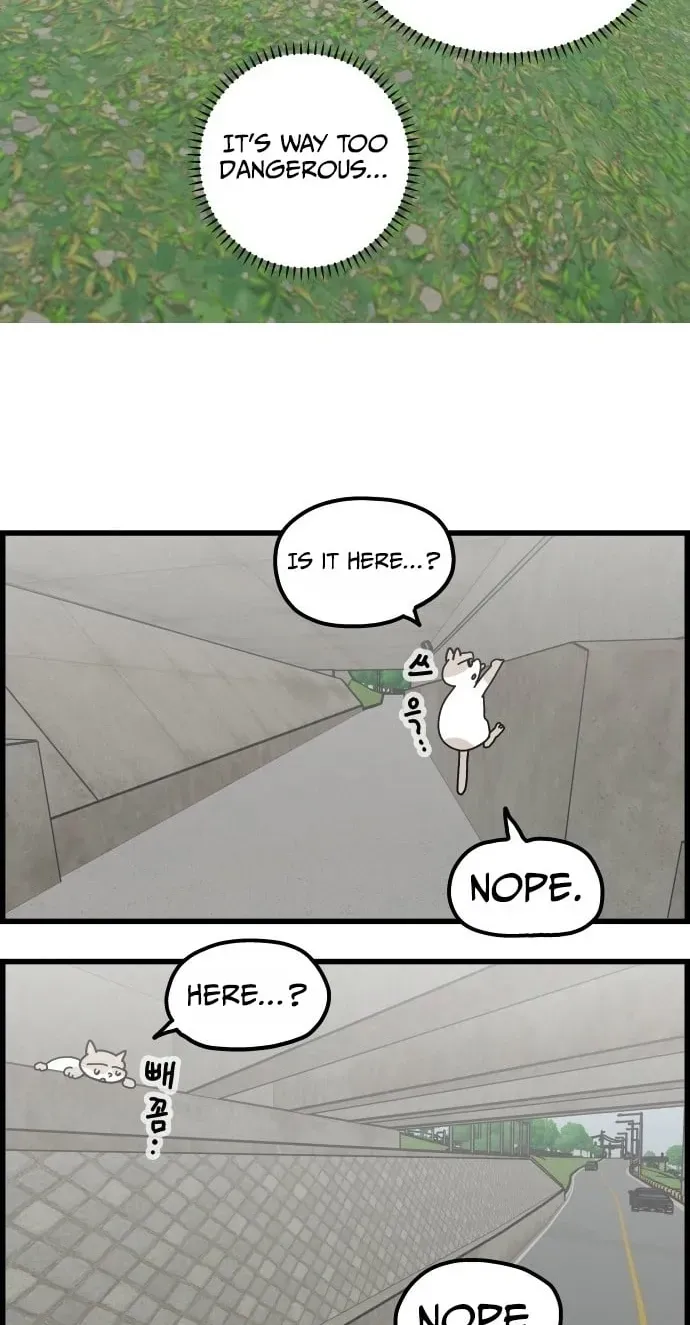 First-Job Cat Chapter 13 page 19 - 