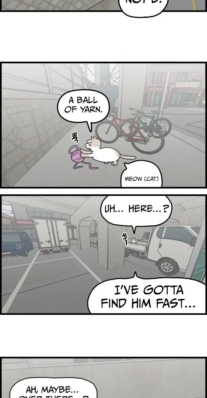 First-Job Cat Chapter 13 page 20 - 
