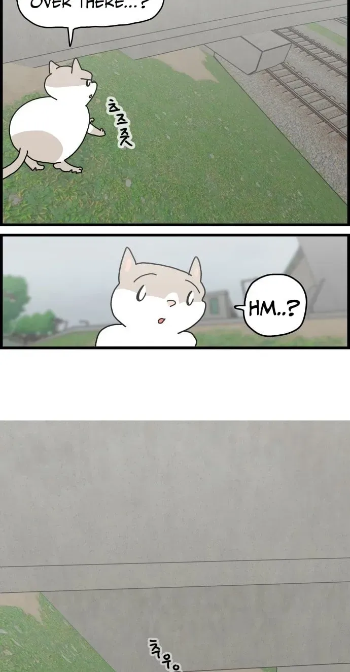 First-Job Cat Chapter 13 page 21 - 