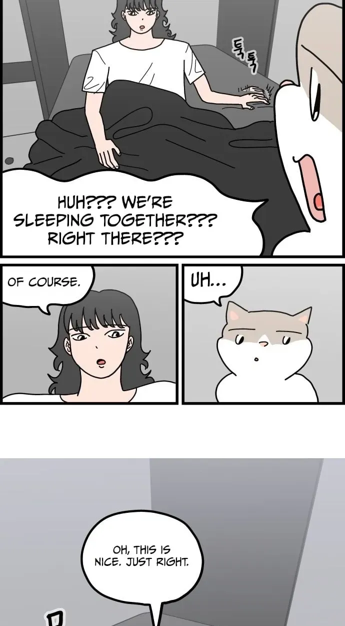 First-Job Cat Chapter 13 page 9 - 