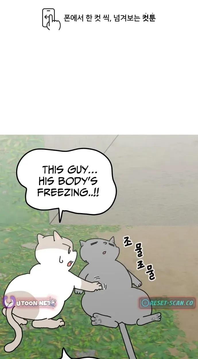 First-Job Cat Chapter 14 page 2 - 