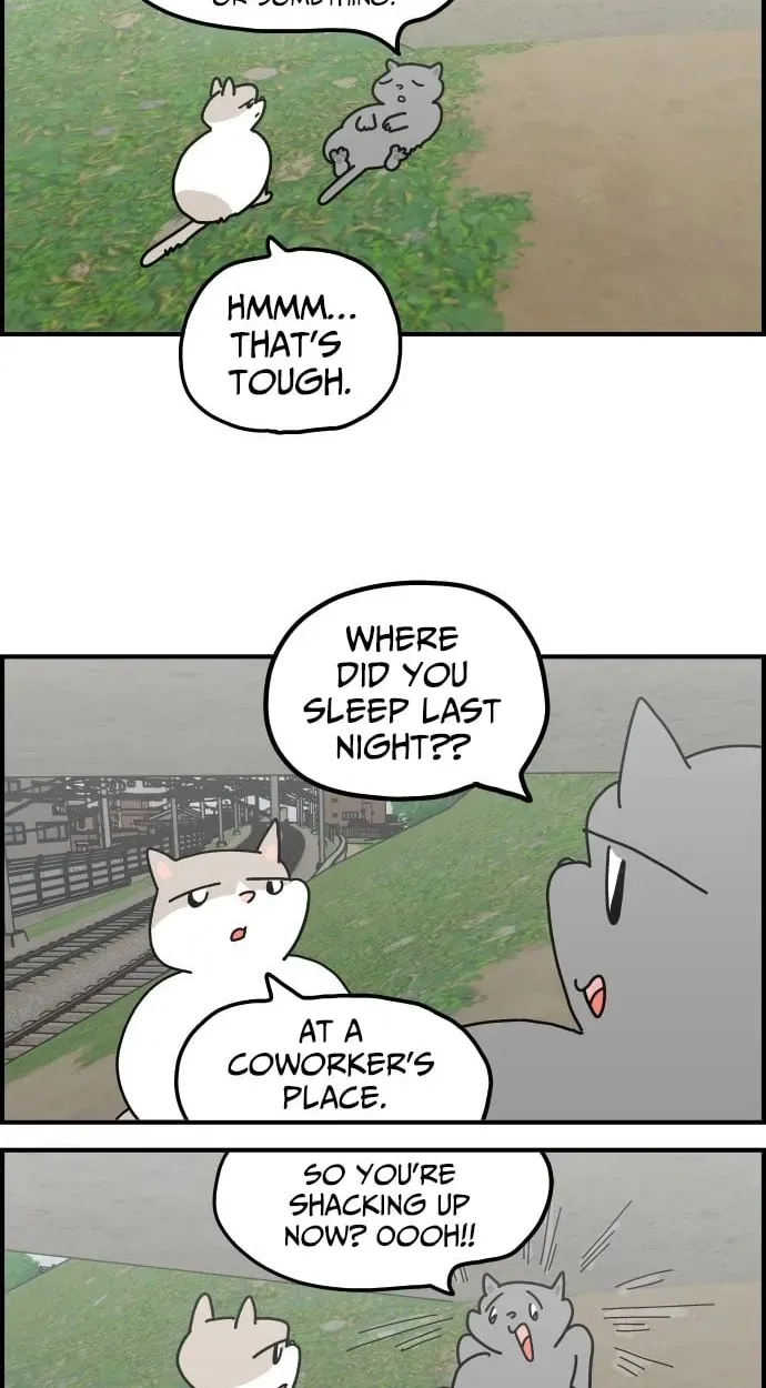 First-Job Cat Chapter 14 page 11 - 