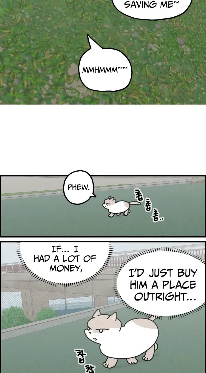 First-Job Cat Chapter 14 page 13 - 