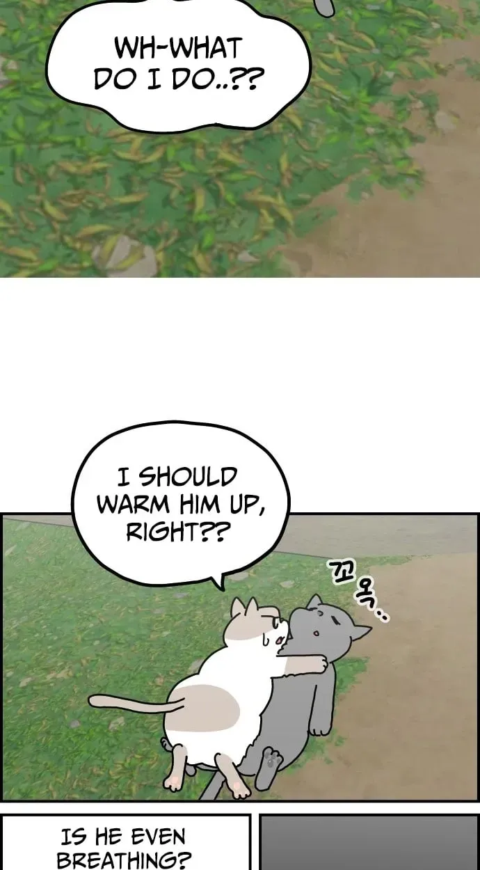 First-Job Cat Chapter 14 page 3 - 