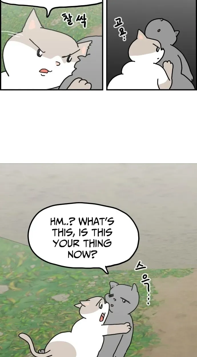 First-Job Cat Chapter 14 page 4 - 