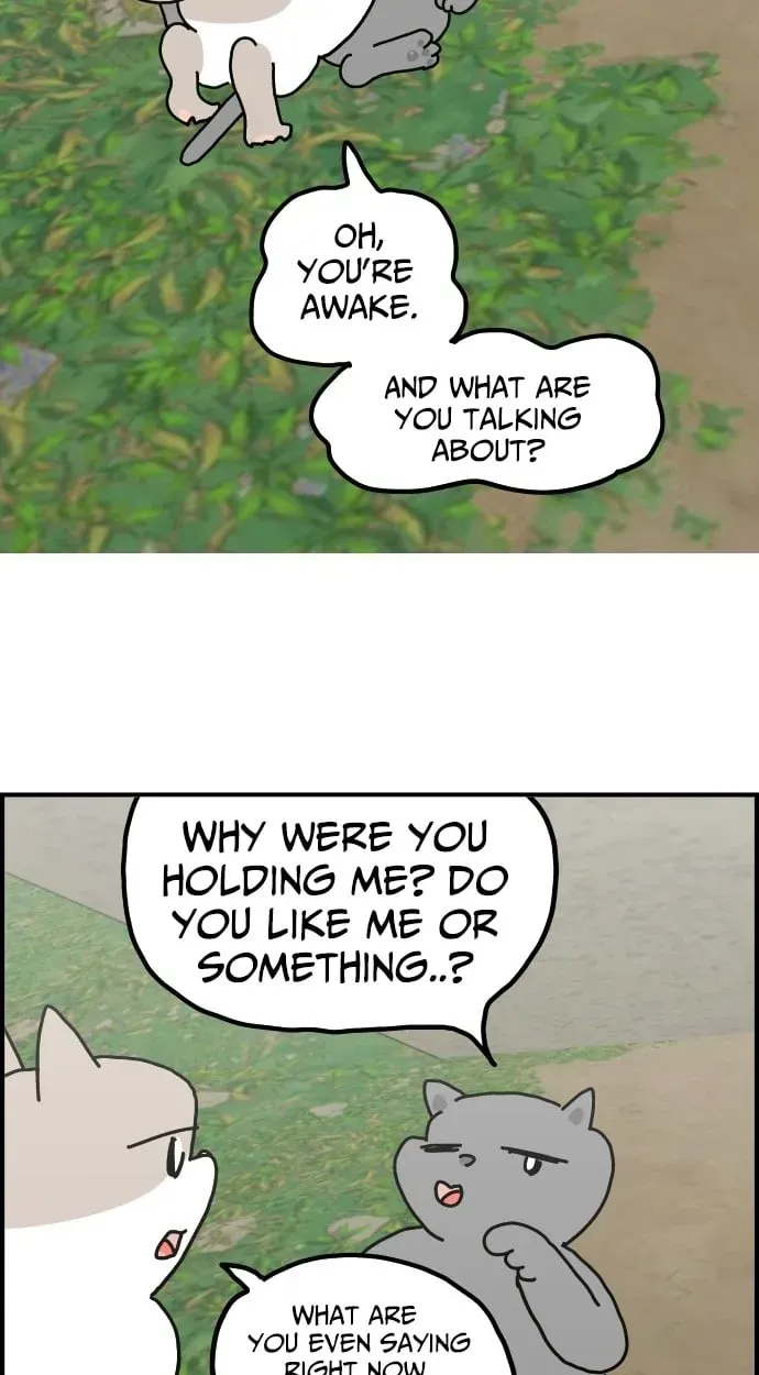 First-Job Cat Chapter 14 page 5 - 