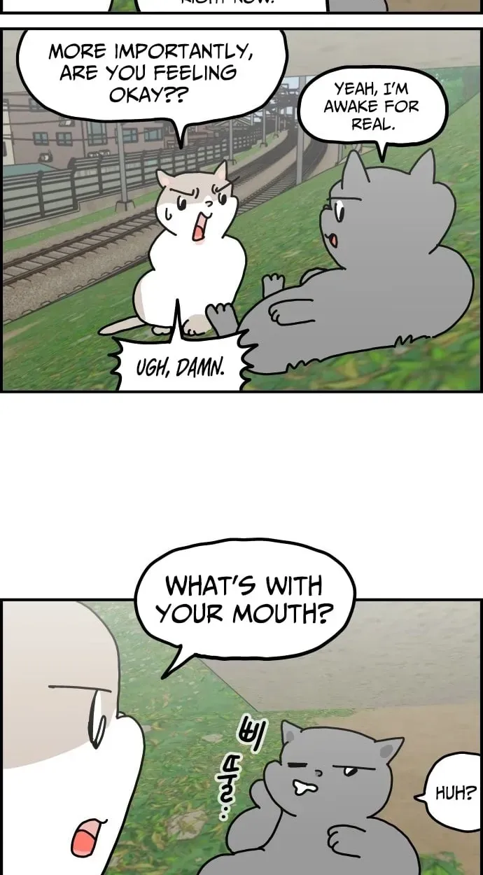First-Job Cat Chapter 14 page 6 - 
