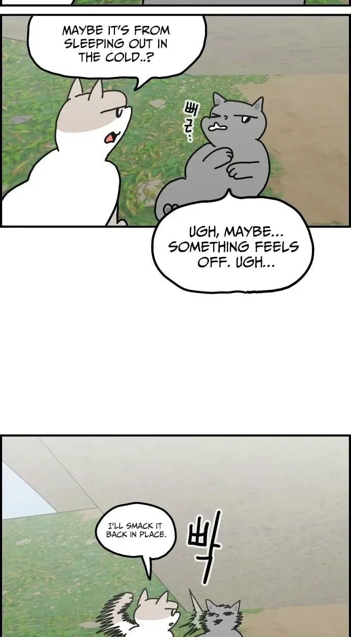 First-Job Cat Chapter 14 page 7 - 