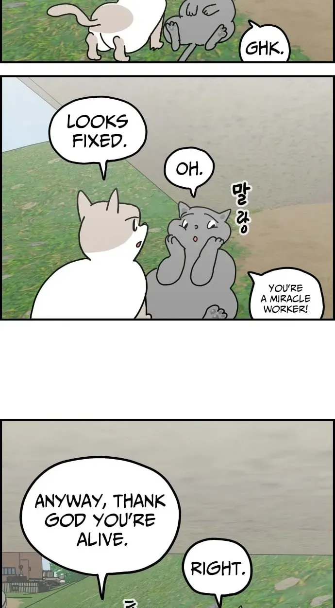 First-Job Cat Chapter 14 page 8 - 