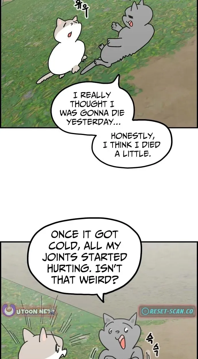 First-Job Cat Chapter 14 page 9 - 