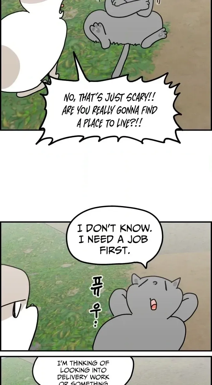 First-Job Cat Chapter 14 page 10 - 