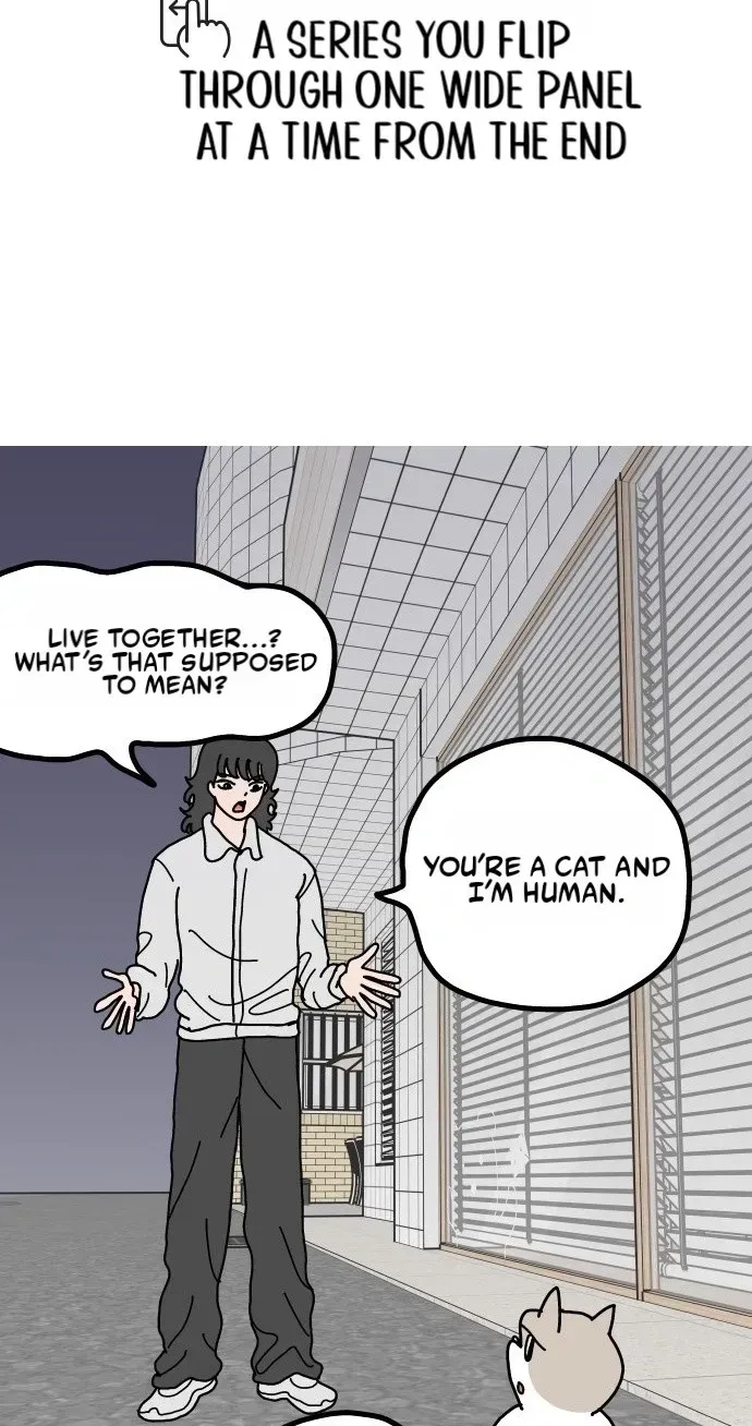 First-Job Cat Chapter 16 page 2 - 