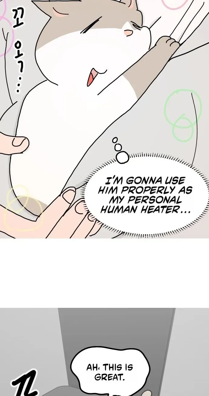 First-Job Cat Chapter 16 page 12 - 