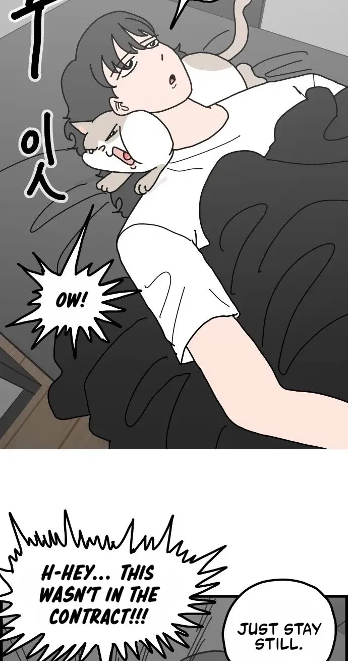 First-Job Cat Chapter 16 page 13 - 