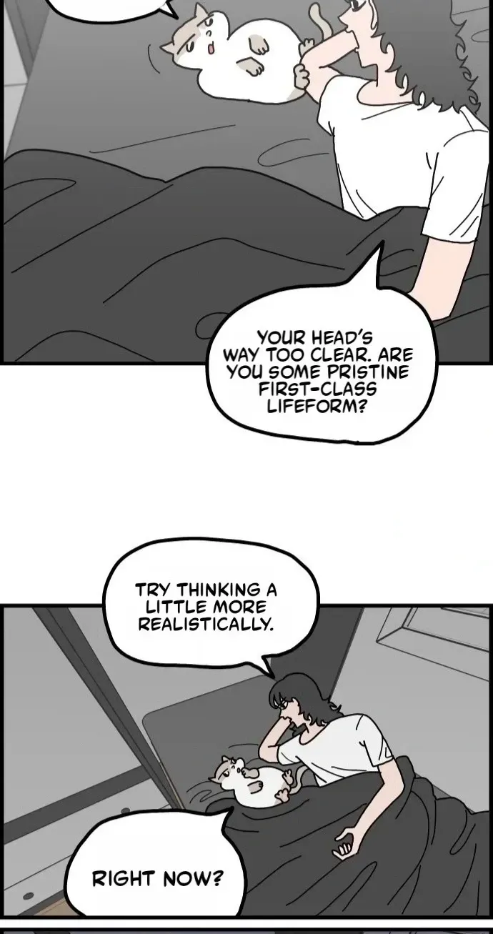 First-Job Cat Chapter 16 page 20 - 