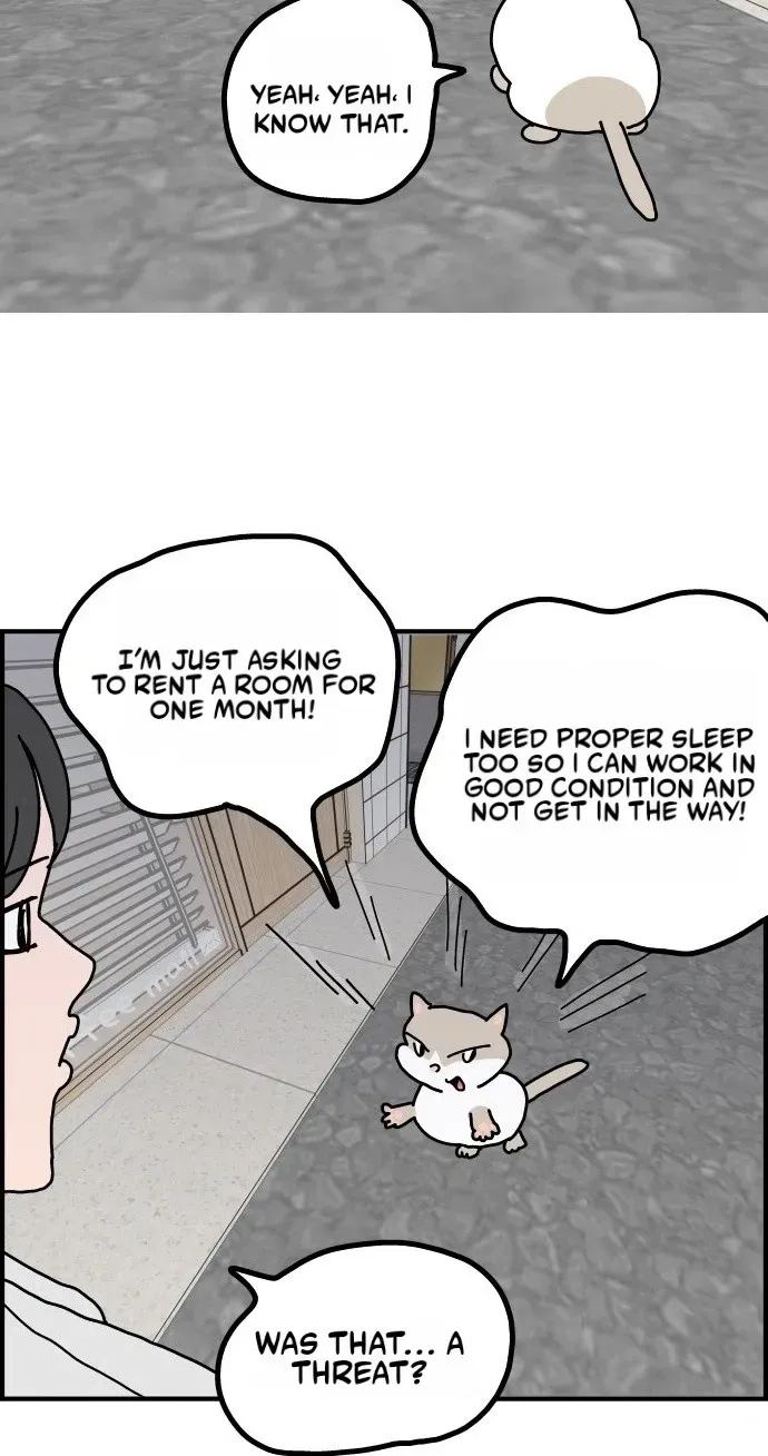 First-Job Cat Chapter 16 page 3 - 