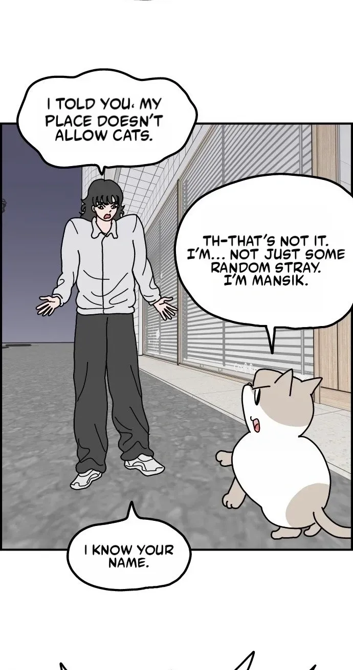 First-Job Cat Chapter 16 page 4 - 