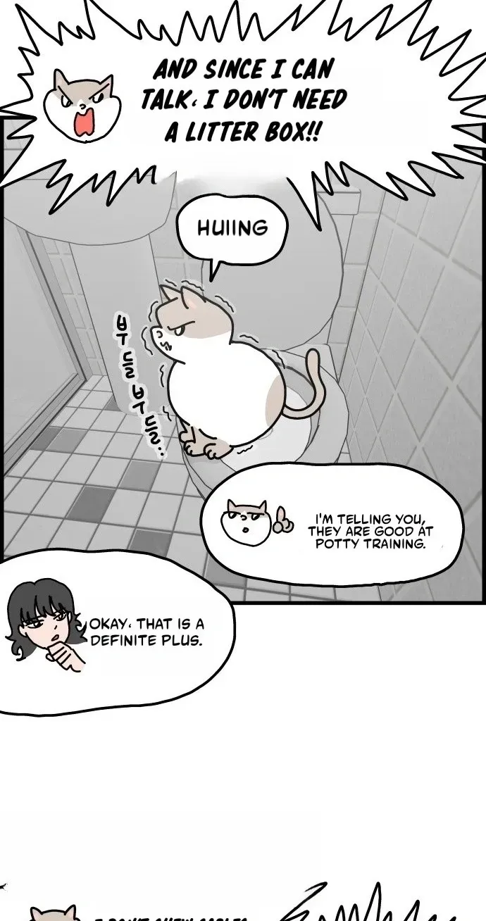 First-Job Cat Chapter 16 page 5 - 