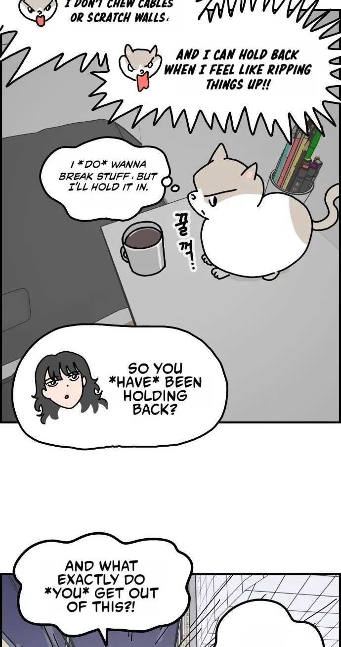 First-Job Cat Chapter 16 page 6 - 