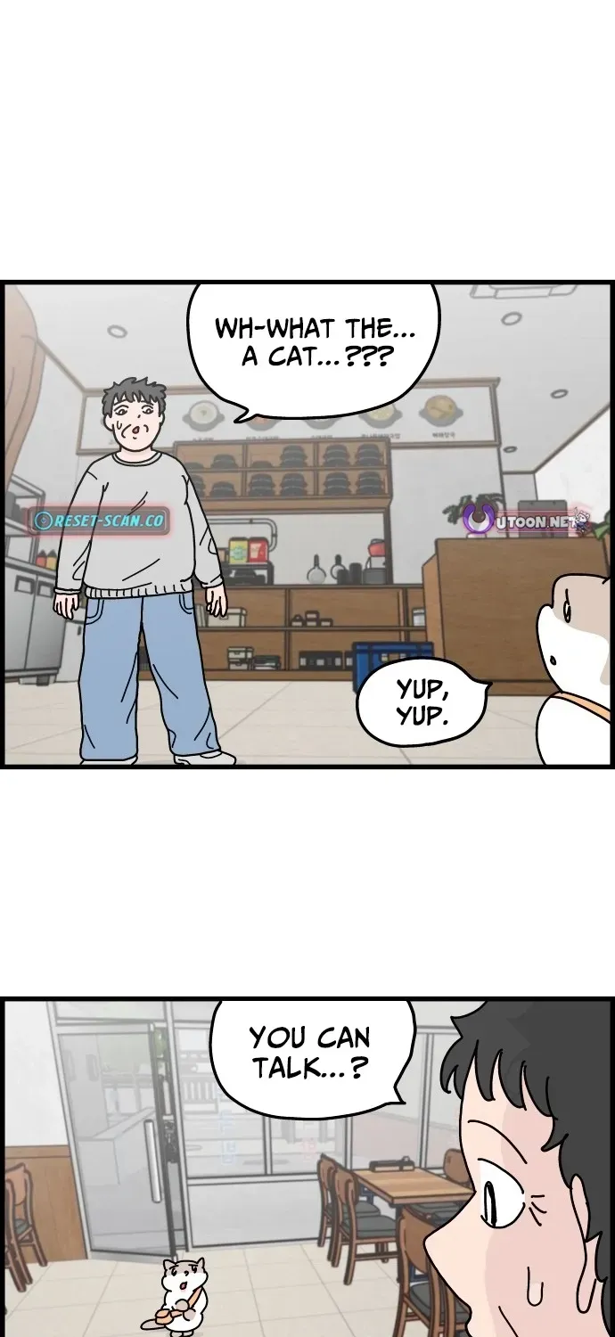 First-Job Cat Chapter 2 page 2 - 