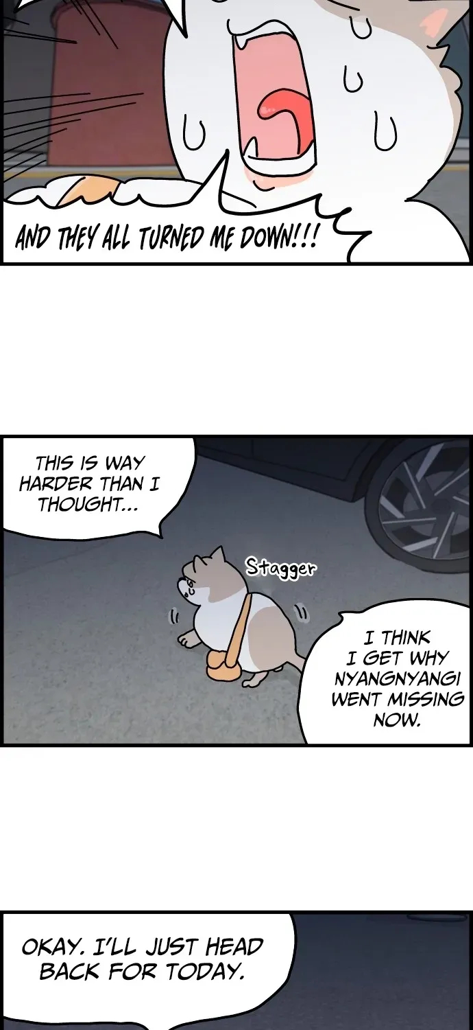 First-Job Cat Chapter 2 page 11 - 