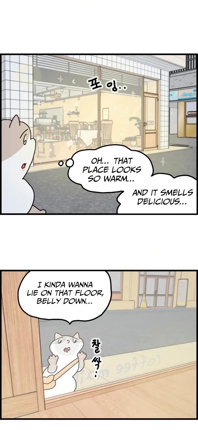 First-Job Cat Chapter 2 page 13 - 