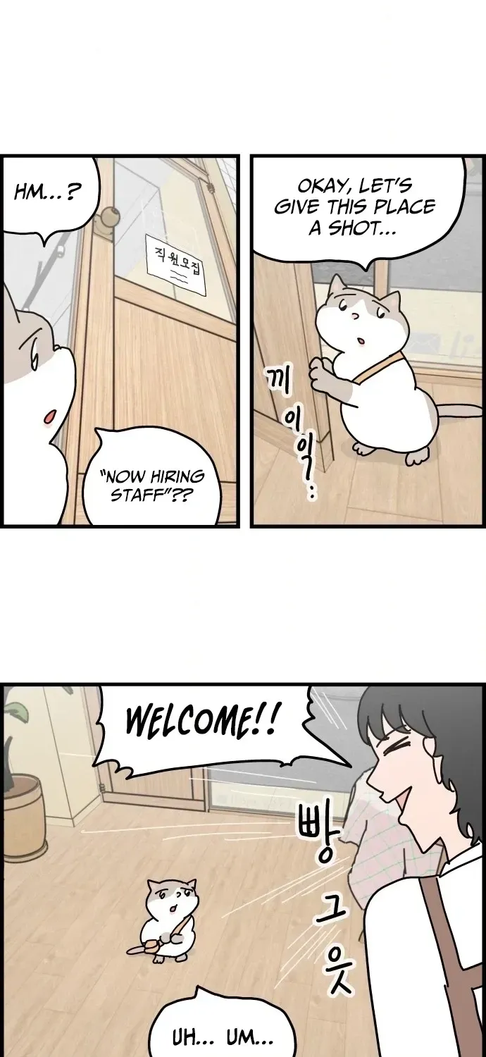 First-Job Cat Chapter 2 page 14 - 