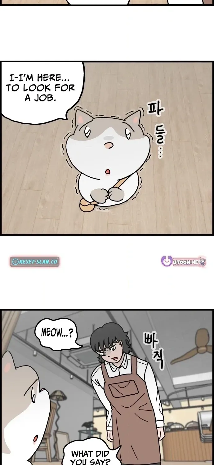 First-Job Cat Chapter 2 page 15 - 