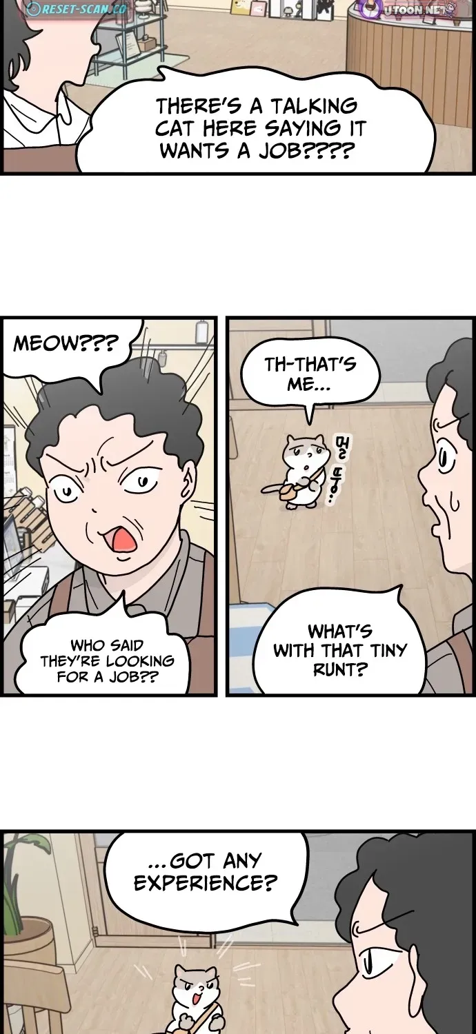 First-Job Cat Chapter 2 page 17 - 