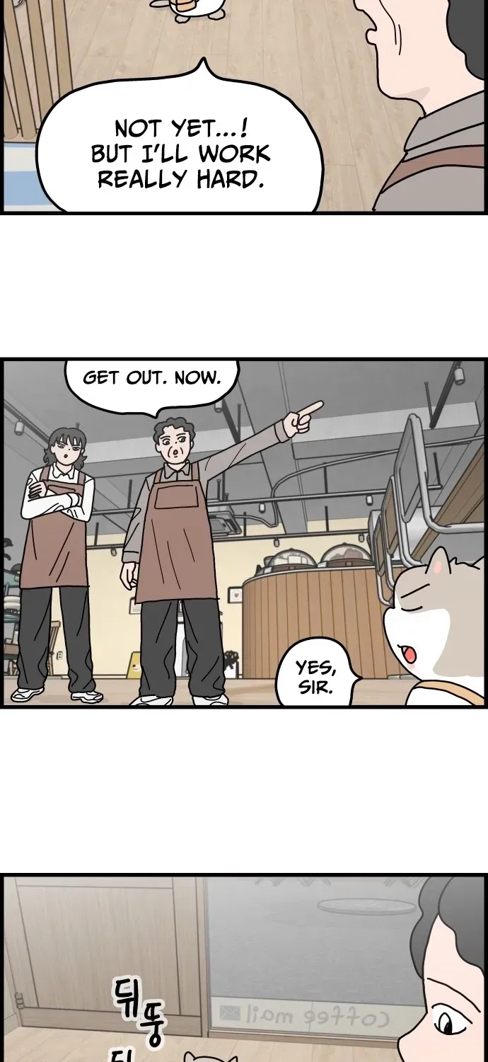 First-Job Cat Chapter 2 page 18 - 