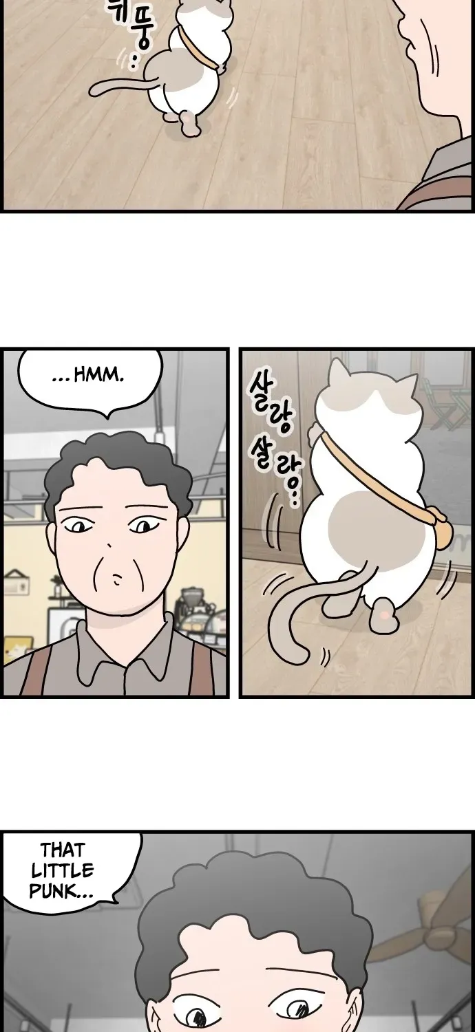 First-Job Cat Chapter 2 page 19 - 