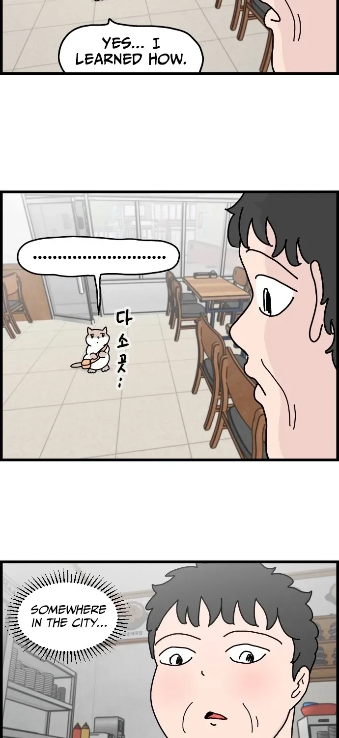 First-Job Cat Chapter 2 page 3 - 